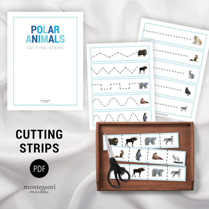 Polar Animals Mini Bundle