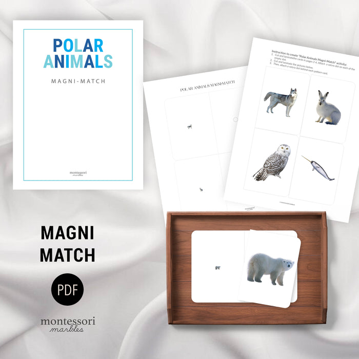 Polar Animals Mini Bundle
