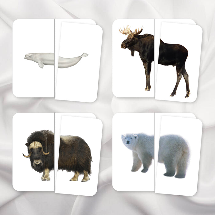 Polar Animals Two-Piece Puzzles