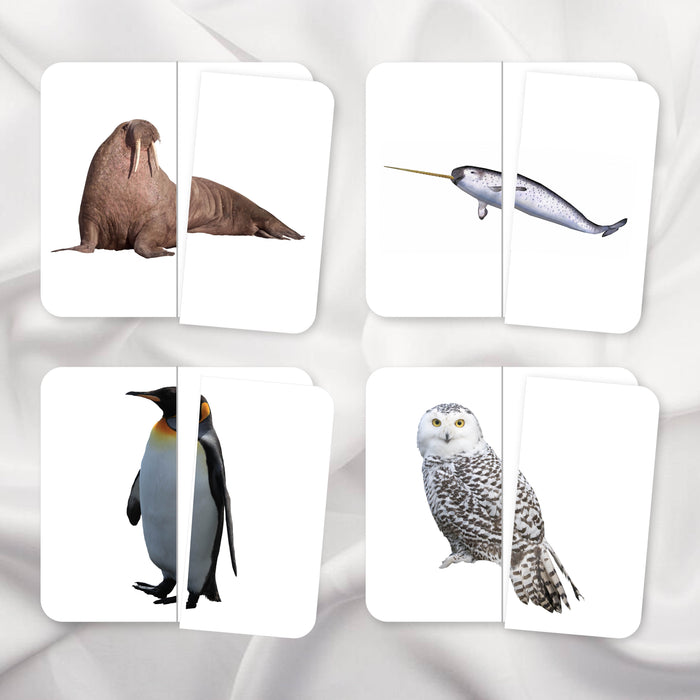 Polar Animals Two-Piece Puzzles