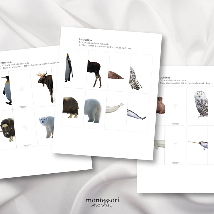 Polar Animals Two-Piece Puzzles