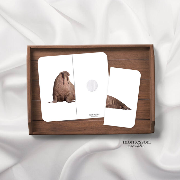 Polar Animals Two-Piece Puzzles