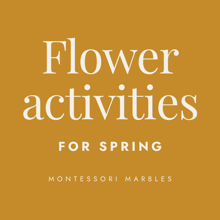 Flower Activities for Spring