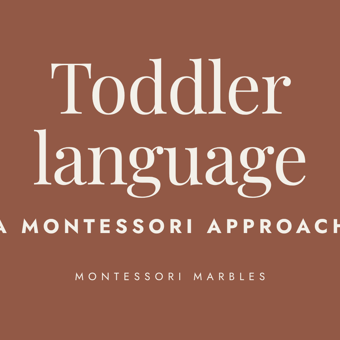 Toddler Language Development: Milestones by Age and Montessori Tips