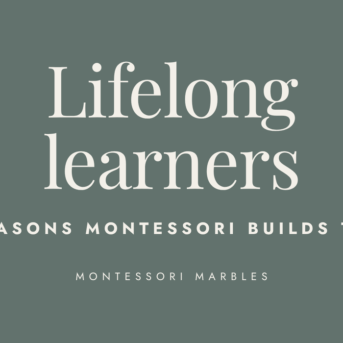 5 Reasons Why Montessori Sparks Lifelong Genius Learners