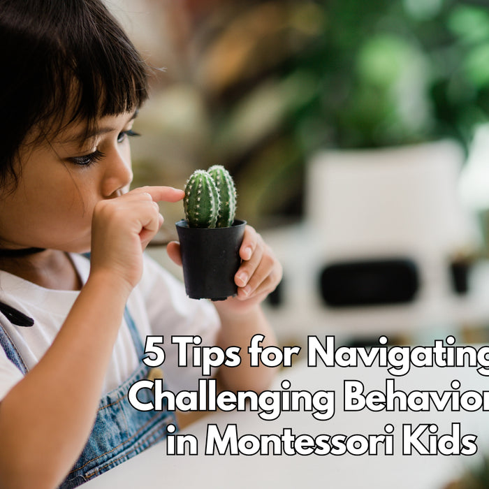 5 Tips for Navigating Challenging Behaviors in Montessori Kids
