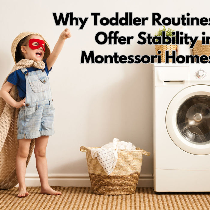 Why Toddler Routines Offer Stability in Montessori Homes