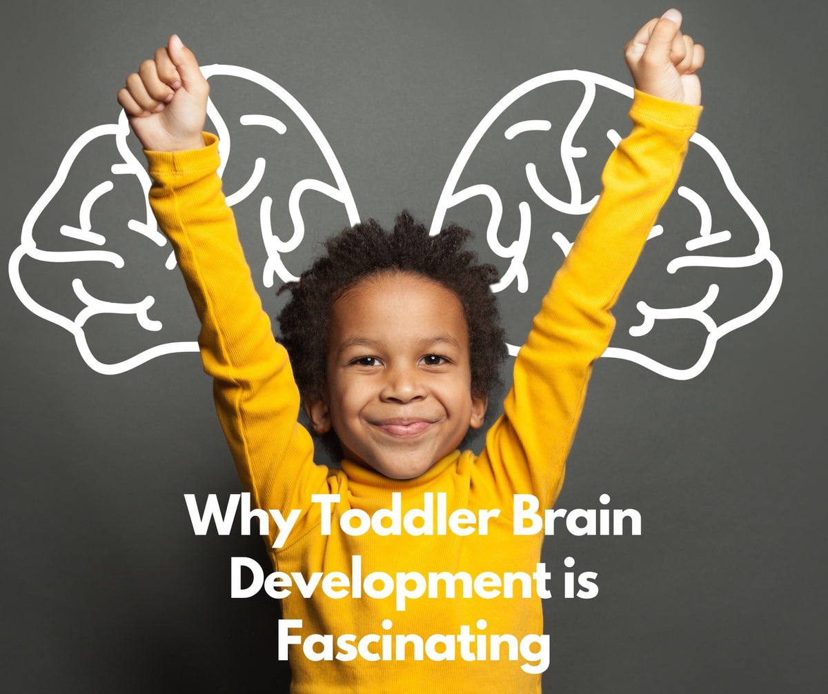 Why Toddler Brain Development Is Fascinating – Montessori Marbles