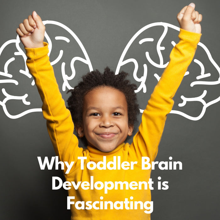 Why Toddler Brain Development Is Fascinating