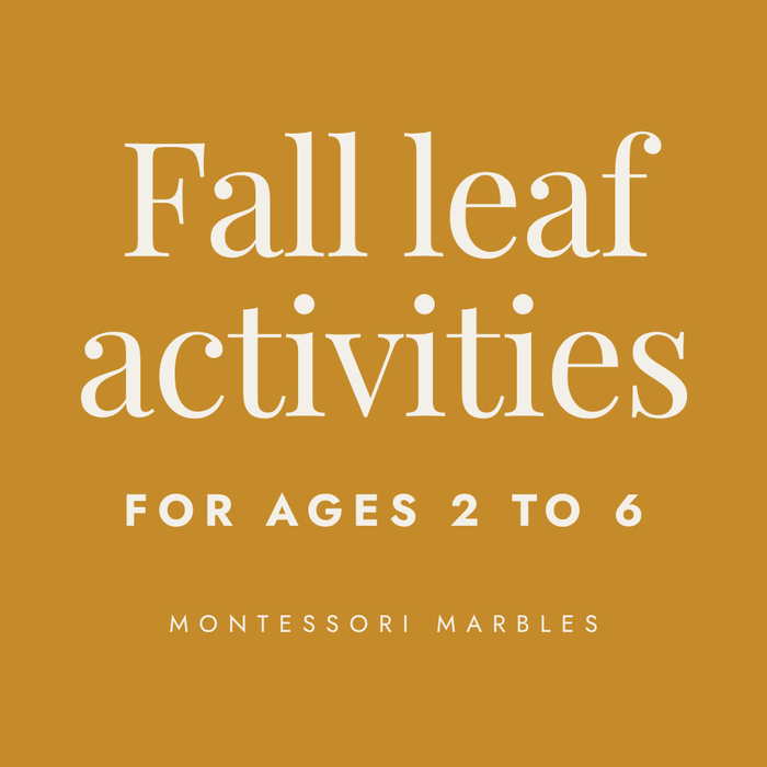 Montessori Leaf Activities for Fall (Ages 2 to 6)