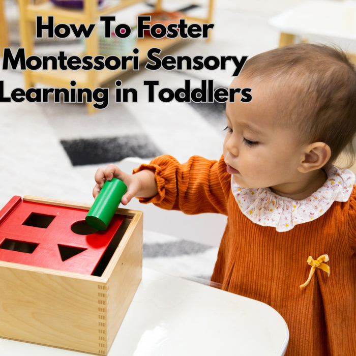 How To Foster Montessori Sensory Learning in Toddlers