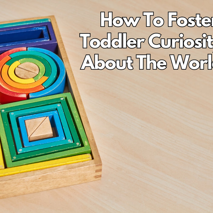 How to Foster Toddler Curiosity About The World