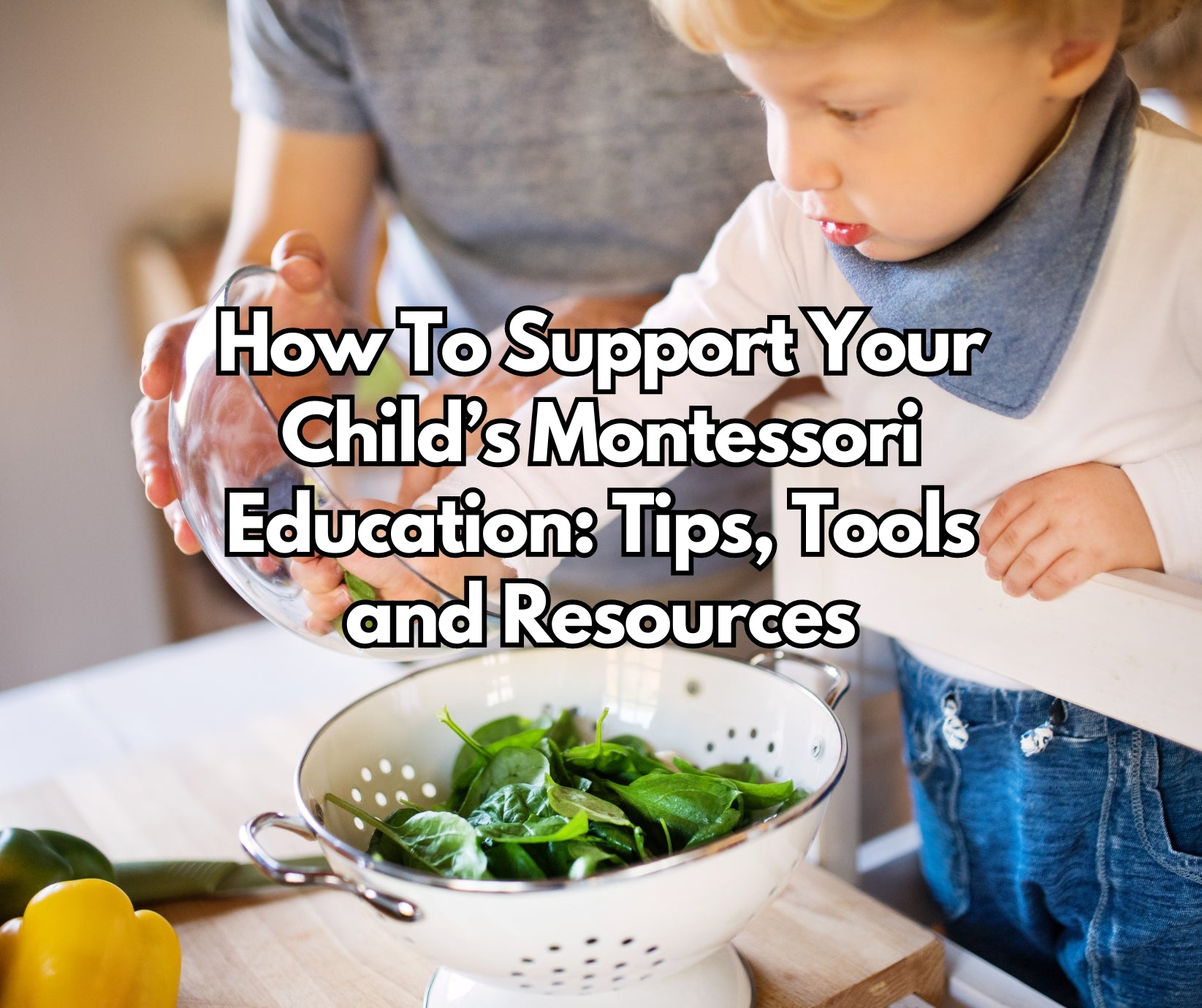 How To Support Your Child's Montessori Education: Tips, Tools and Resources