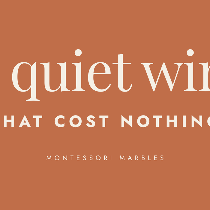15 Montessori at Home Ideas That Cost Nothing