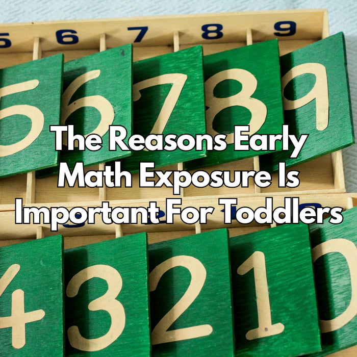 The Reasons Early Math Exposure Is Important for Toddlers