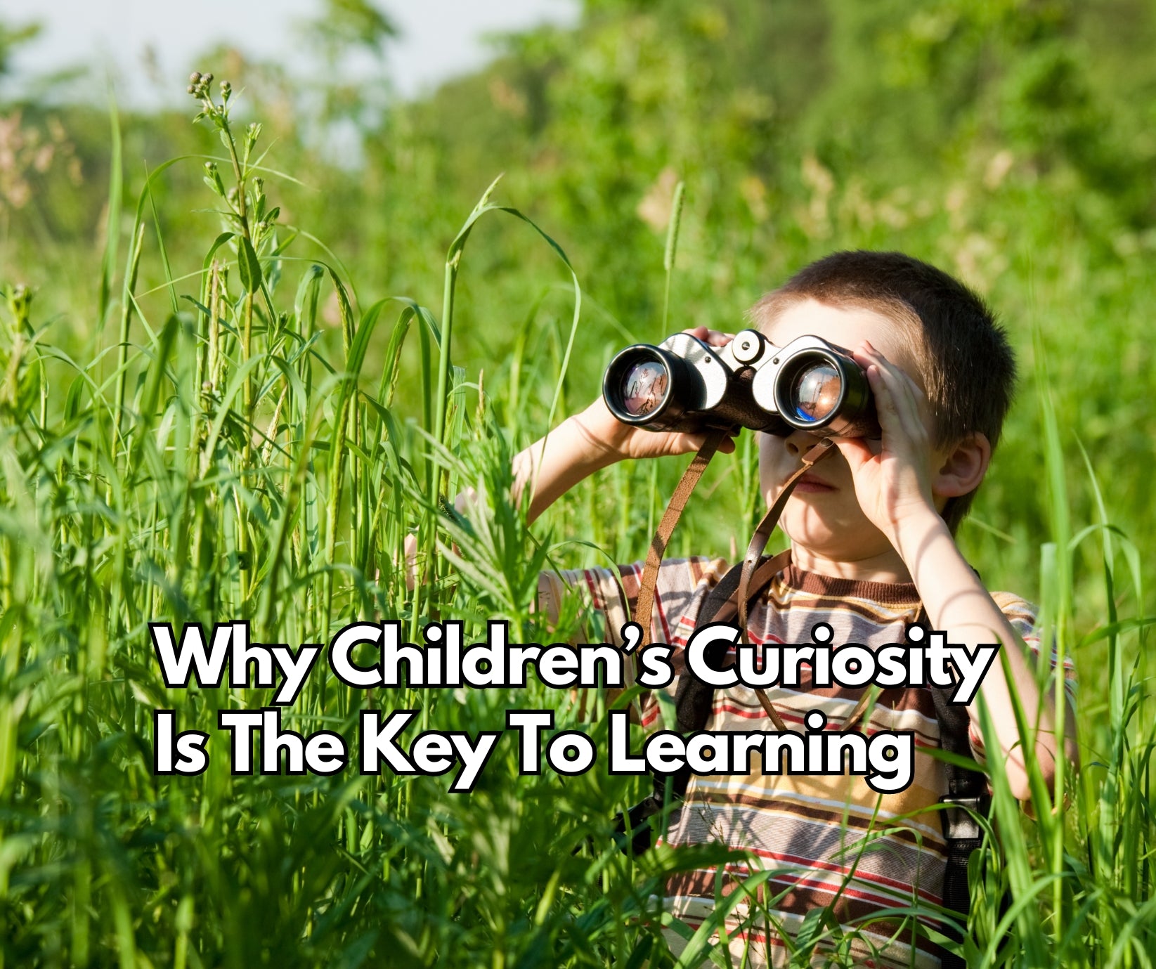 Why Children's Curiosity Is the Key to Learning