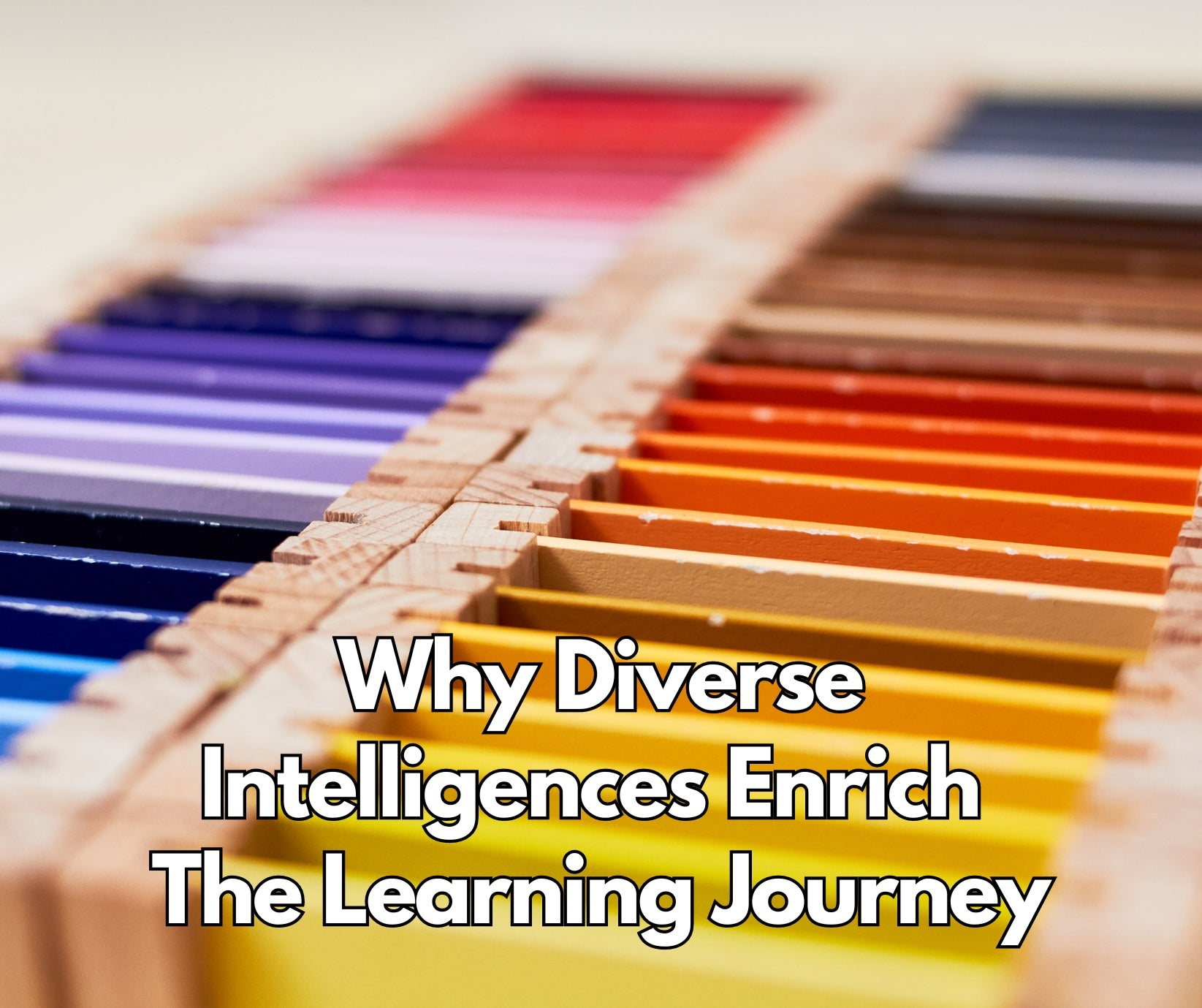 Why Diverse Intelligences Enrich the Learning Journey