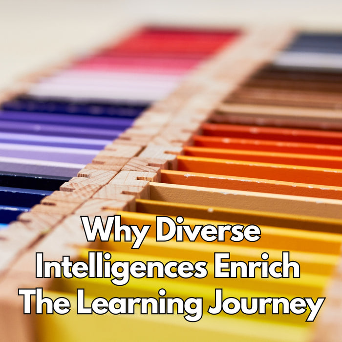 Why Diverse Intelligences Enrich the Learning Journey