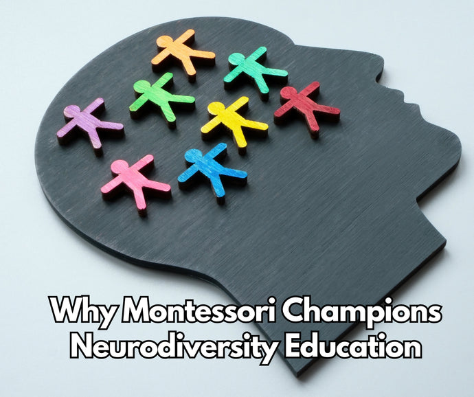 Why Montessori Champions Neurodiversity Education