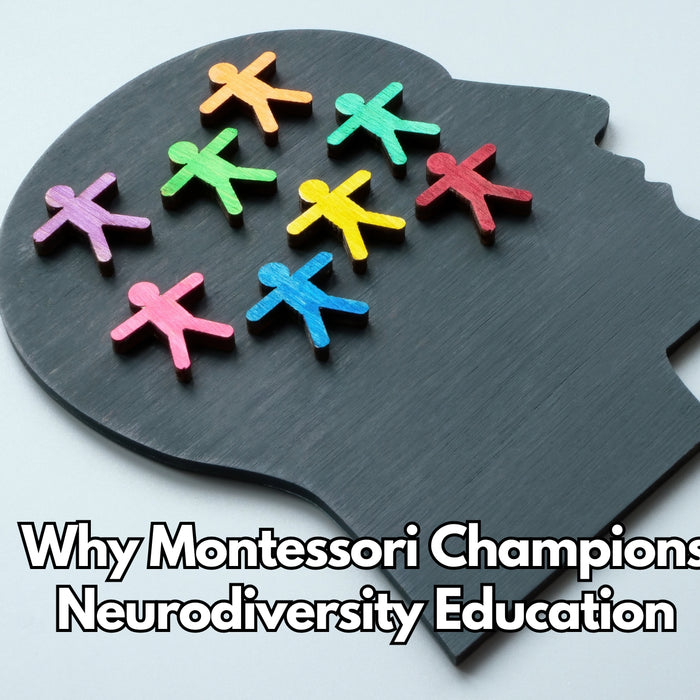 Why Montessori Champions Neurodiversity Education
