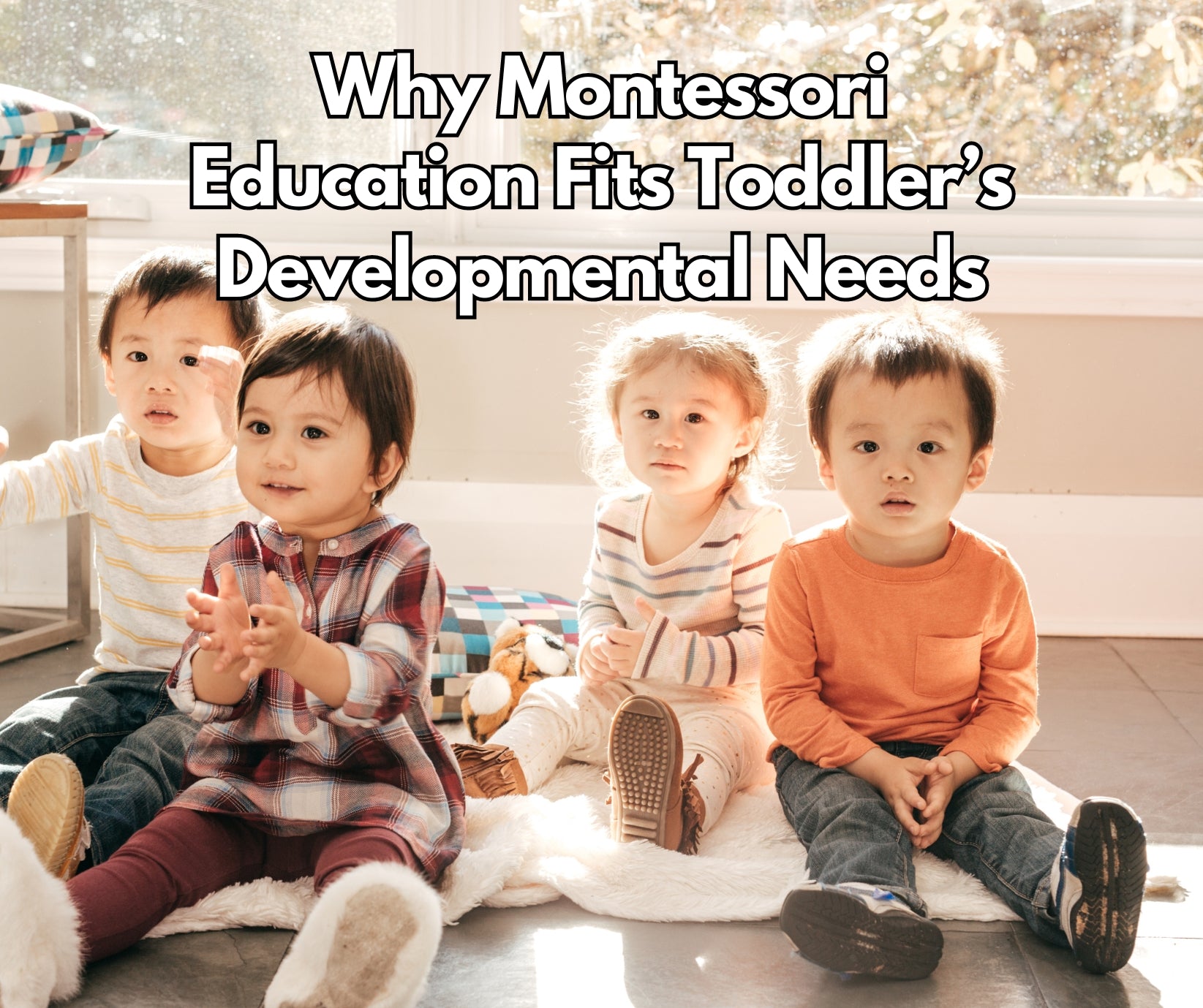 Why Montessori Education Fits Toddlers' Developmental Needs