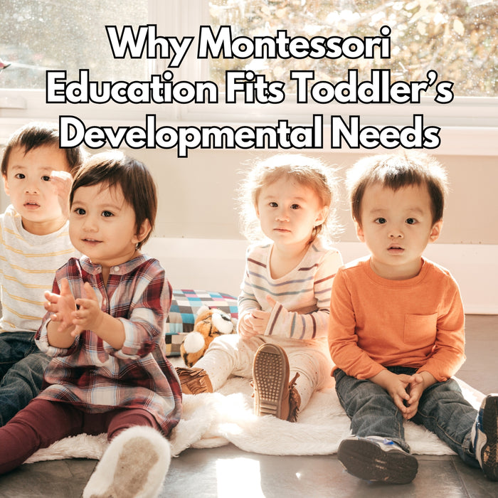 Why Montessori Education Fits Toddlers' Developmental Needs