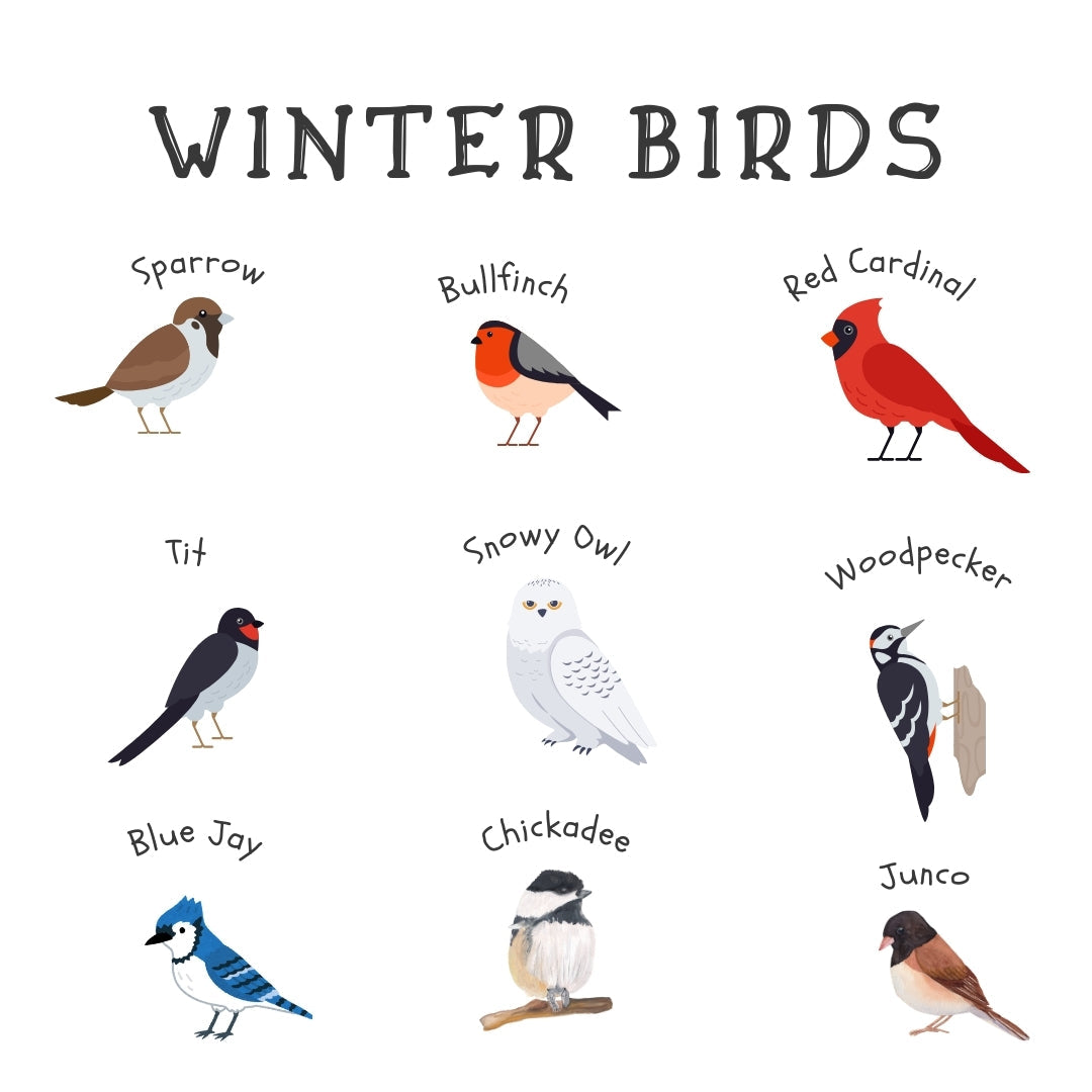 Winter Birds