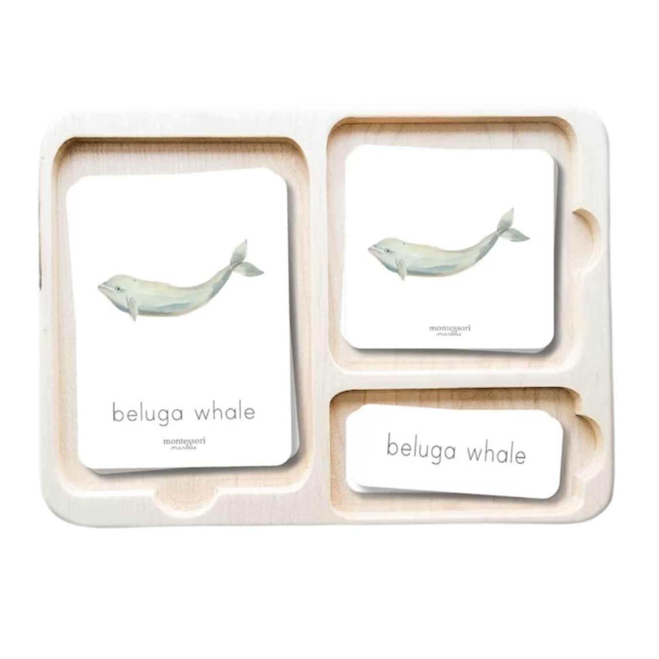 Montessori Nomenclature Cards