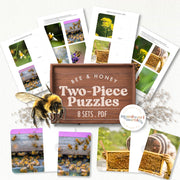 Bee two-piece picture-matching puzzles for visual skills development