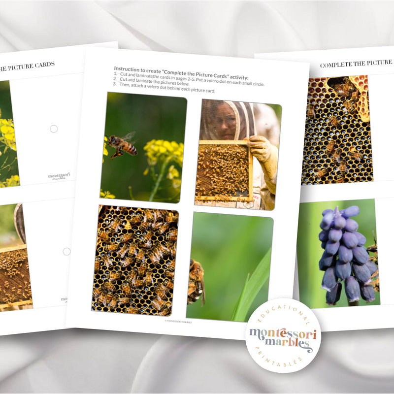 Bees Complete the Pictures
