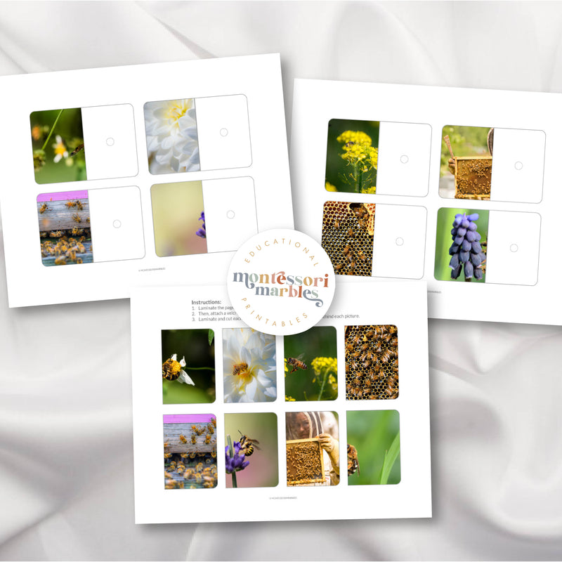 Bees Complete the Pictures