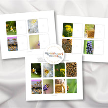 Load image into Gallery viewer, Bees Complete the Pictures
