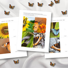 Load image into Gallery viewer, Butterfly Complete The Pictures
