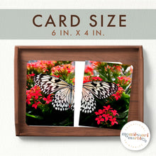 Load image into Gallery viewer, Butterfly Complete The Pictures
