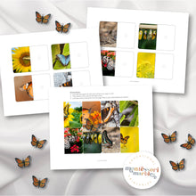 Load image into Gallery viewer, Butterfly Complete The Pictures
