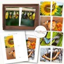 Load image into Gallery viewer, Butterfly Complete The Pictures
