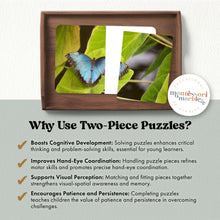 Load image into Gallery viewer, Butterfly Complete The Pictures
