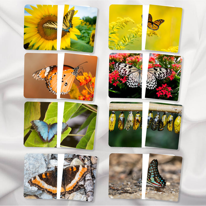 Complete The Pictures Mega Bundle