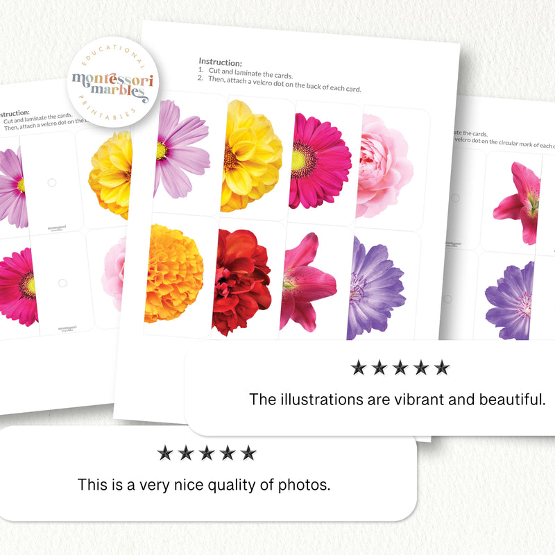 Spring Flowers Mini Bundle