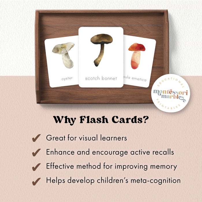 Mushroom Flash Cards