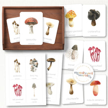 Load image into Gallery viewer, Mushroom Flash Cards
