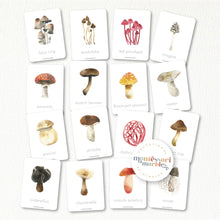 Load image into Gallery viewer, Mushroom Flash Cards
