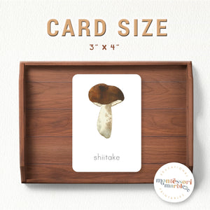 Mushroom Flash Cards