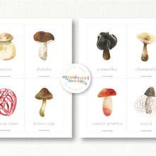 Load image into Gallery viewer, Mushroom Flash Cards
