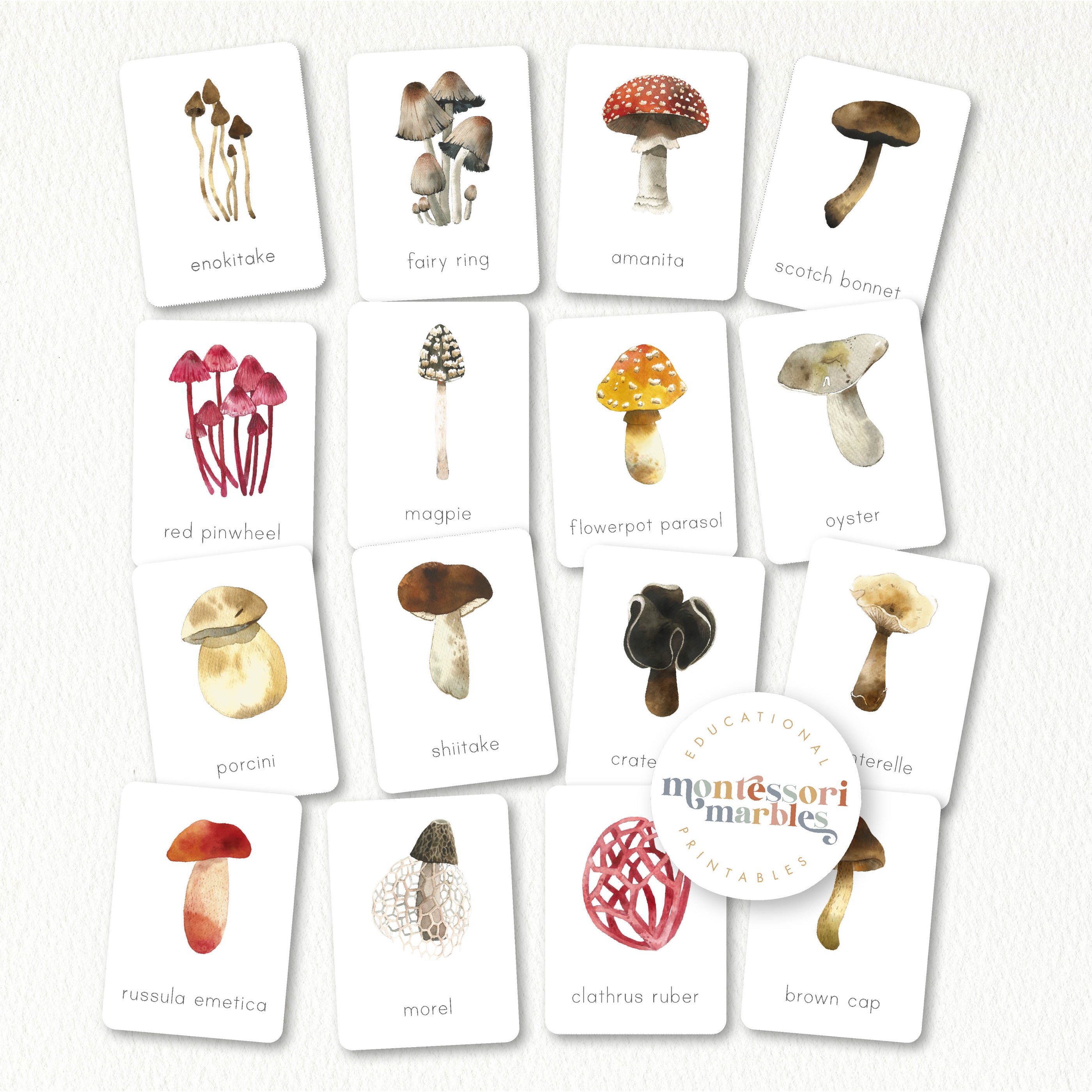 Mushroom Flash Cards | 16 Fungi Types Nature Study Ages 4-8 PDF ...