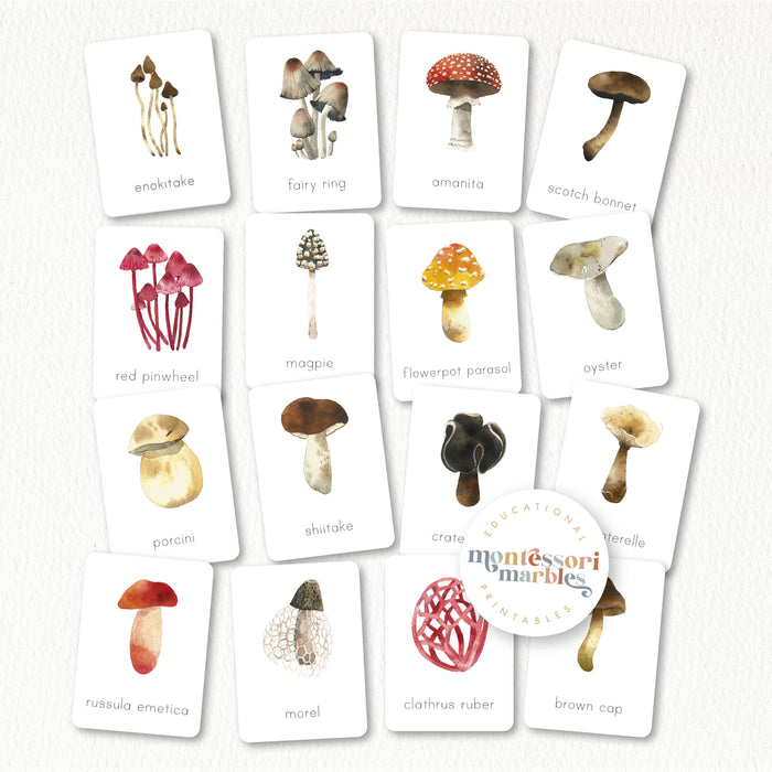 Mushroom Flash Cards