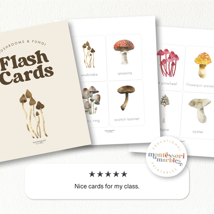 Mushroom Flash Cards