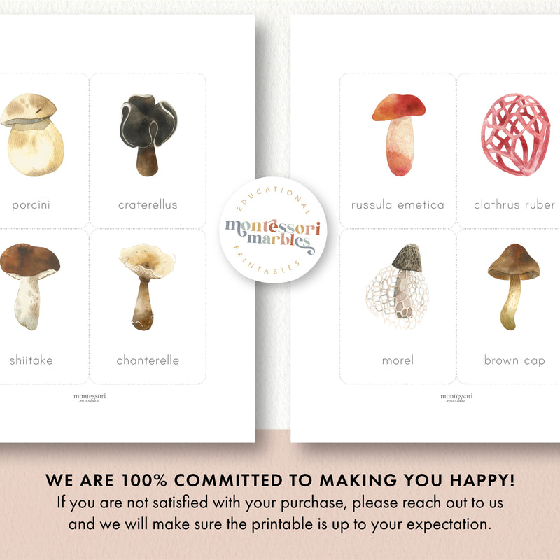 Mushroom Flash Cards