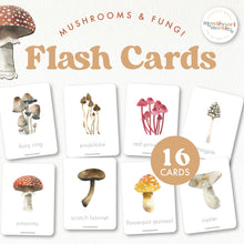 Load image into Gallery viewer, Mushroom Flash Cards
