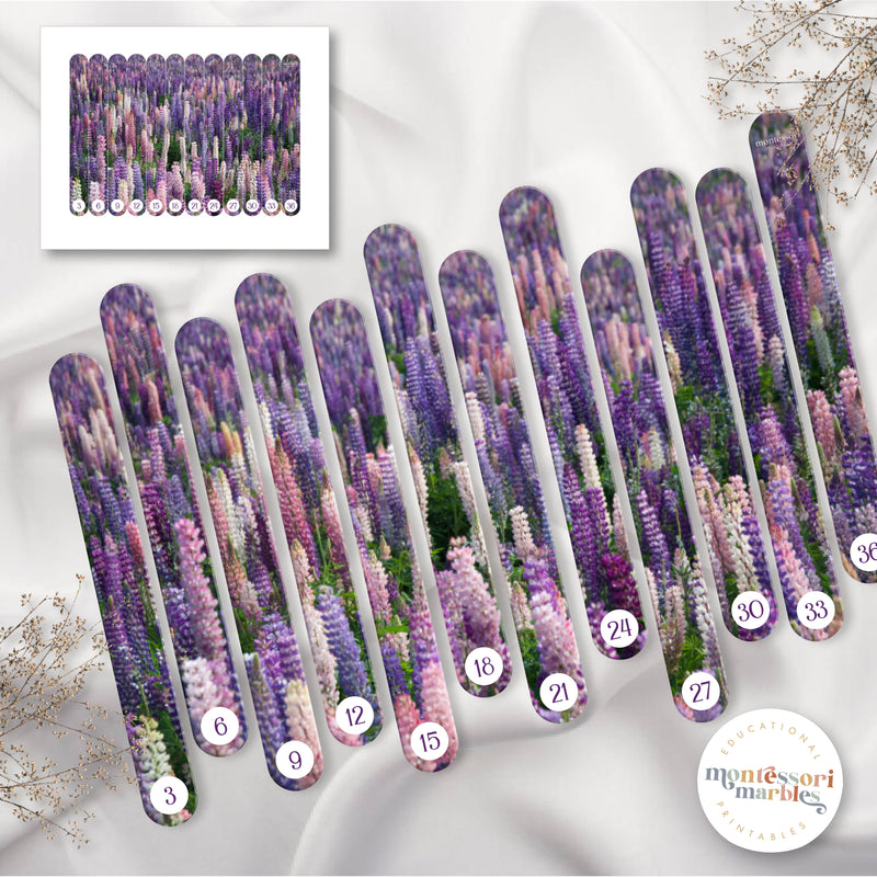 Flowers Skip Counting Activity
